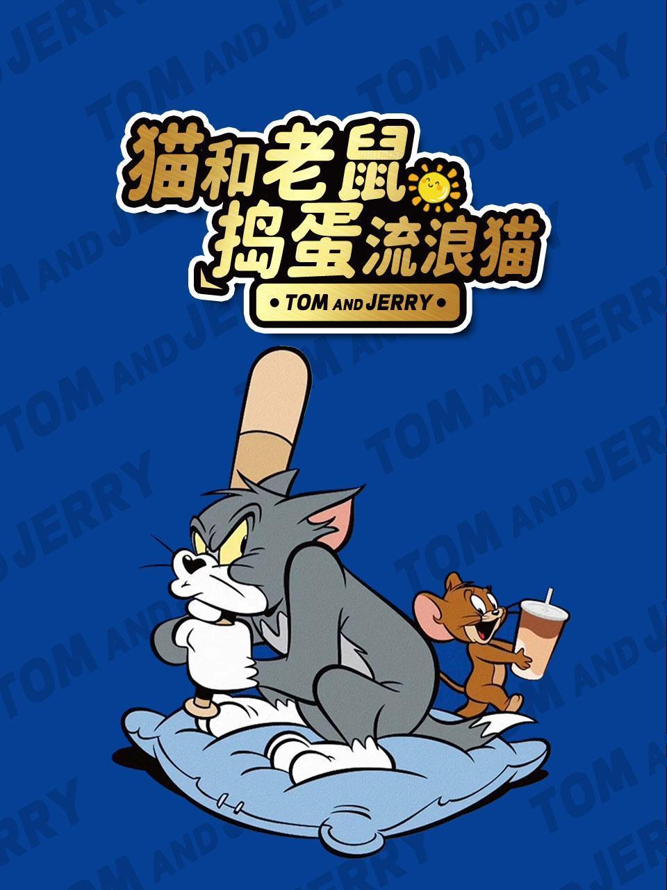 猫和老鼠捣蛋流浪猫