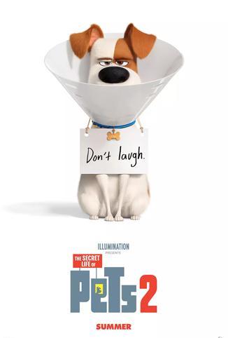 免费的视频1024旧