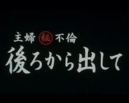 97久久久碰碰碰人妻A片蜜臀